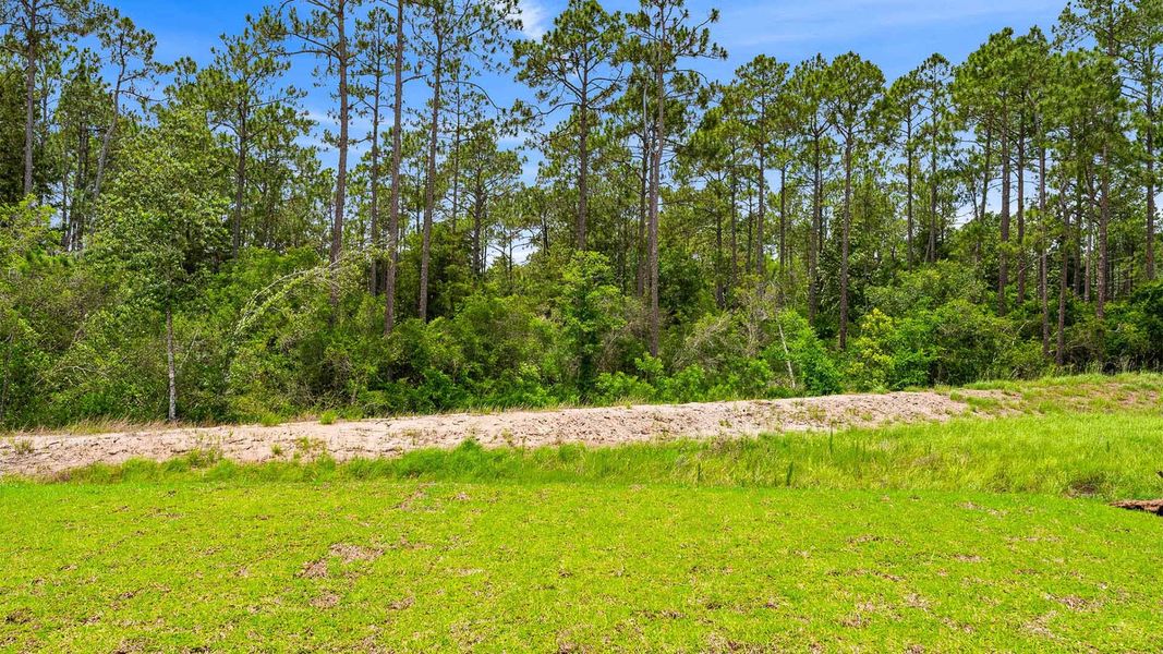 Natural landscape and outdoor views near Chateau Nemours in Port Saint Joe (Image 30).