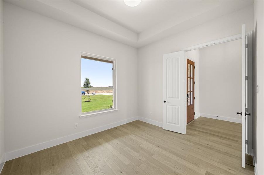 541 Cari Lynn- Study-1 541 Cari Lynn- Study-1