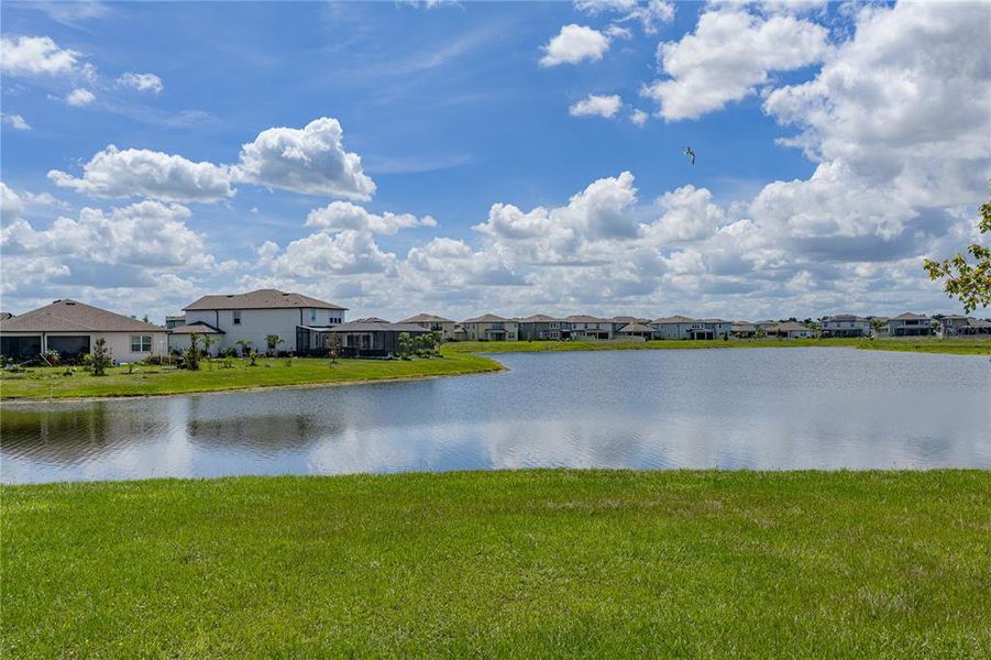 Community amenities in Berry Bay, Wimauma (Image 46).