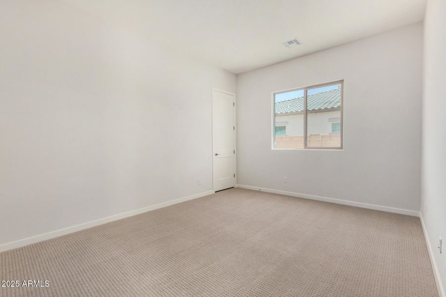 29 - Royal Palm 29 - Royal Palm