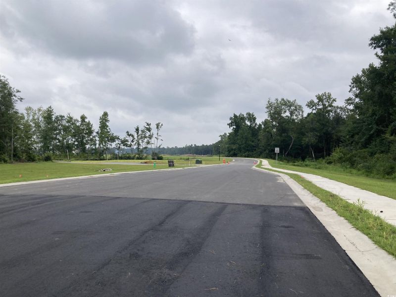 View of asphalt road with sidewalks and curbs