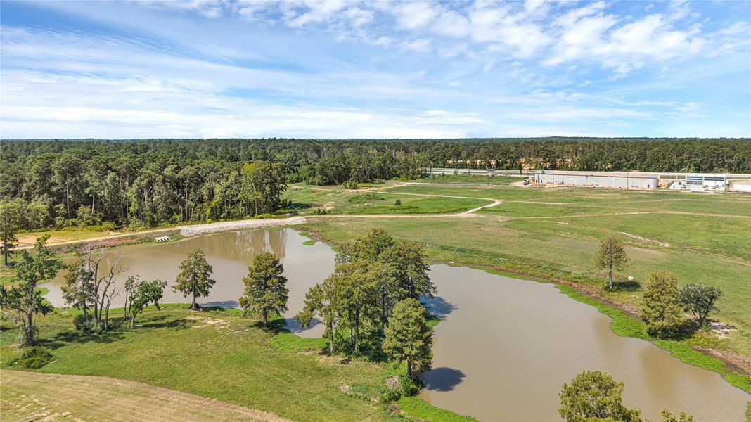 Natural landscape and outdoor views near Moran Ranch in Willis (Image 30). Natural landscape and outdoor views near Moran Ranch in Willis (Image 30).