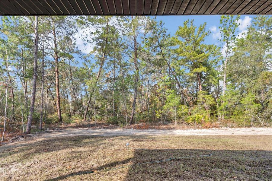 Natural landscape and outdoor views near  in Ocala (Image 36).