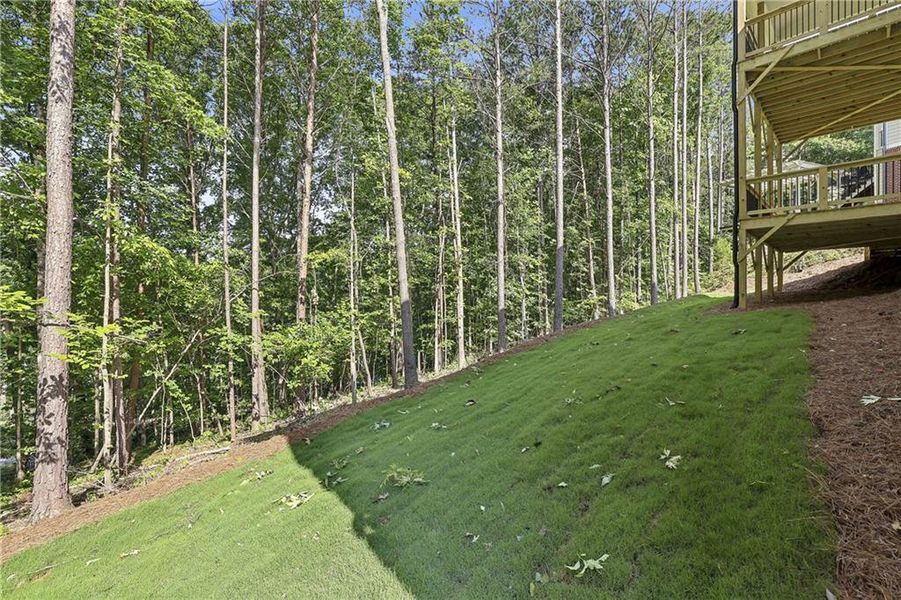 Natural landscape and outdoor views near  in Dawsonville (Image 51).