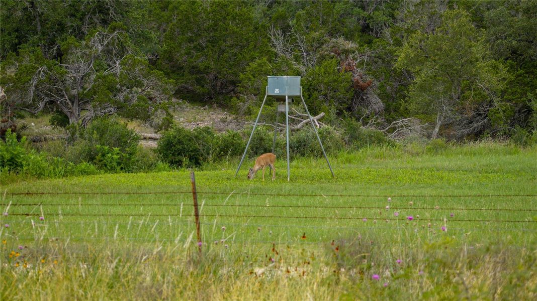 Natural landscape and outdoor views near  in San Marcos (Image 33).