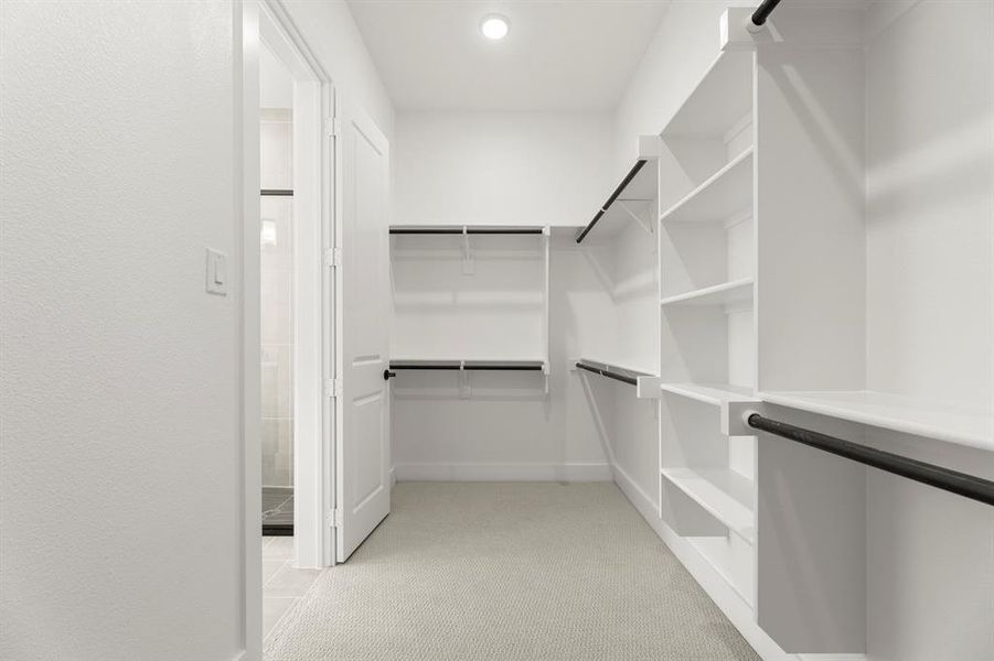 22. 817 Meadow Springs - Closet