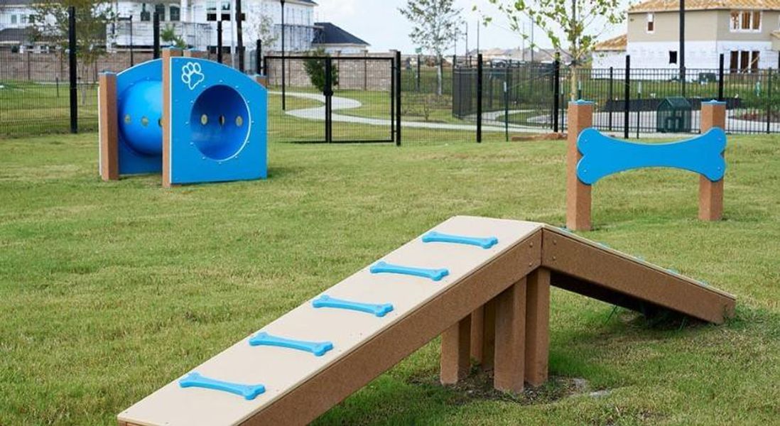 Community Photo Community Photo