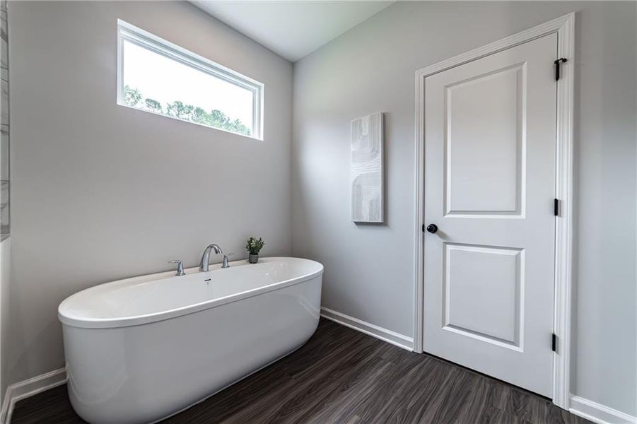 Furnished interior view inside a new home in , Canton (Image 39).