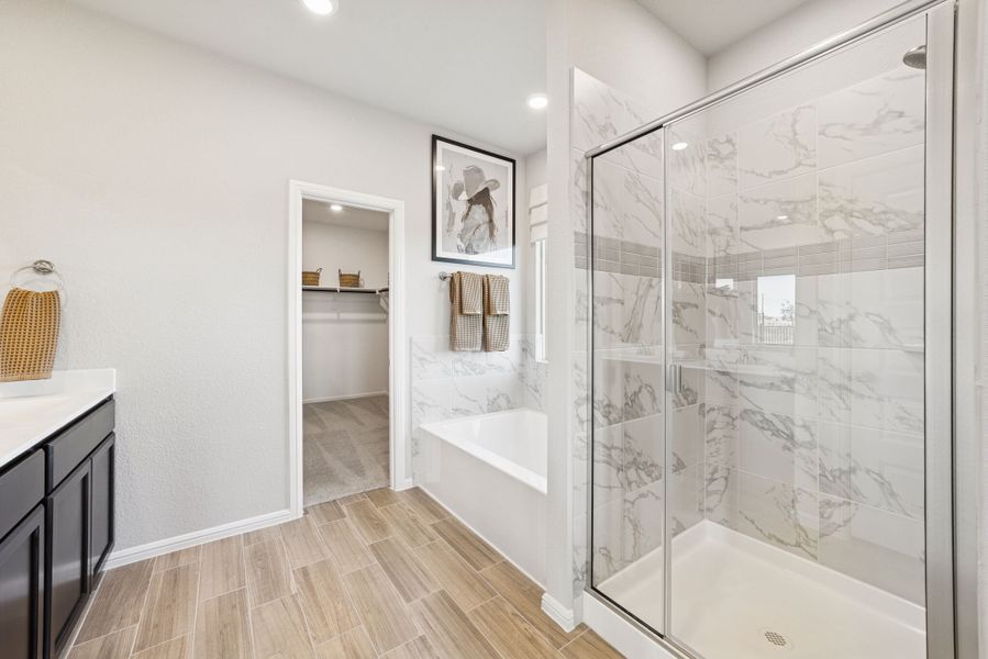 Owner's Bathroom