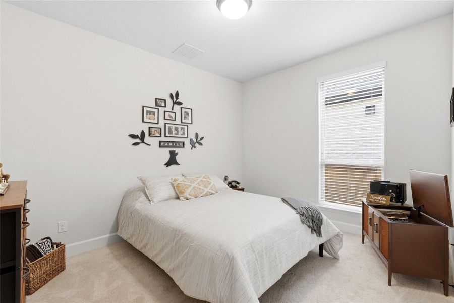 Carpeted room featuring a single window with blinds, ceiling lighting, and light-colored walls