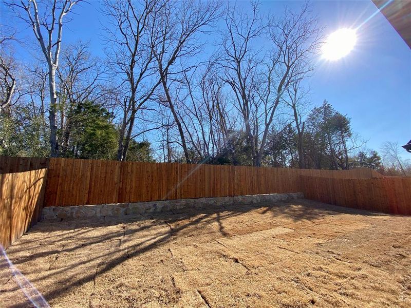 Back yard backs to lots of large trees!