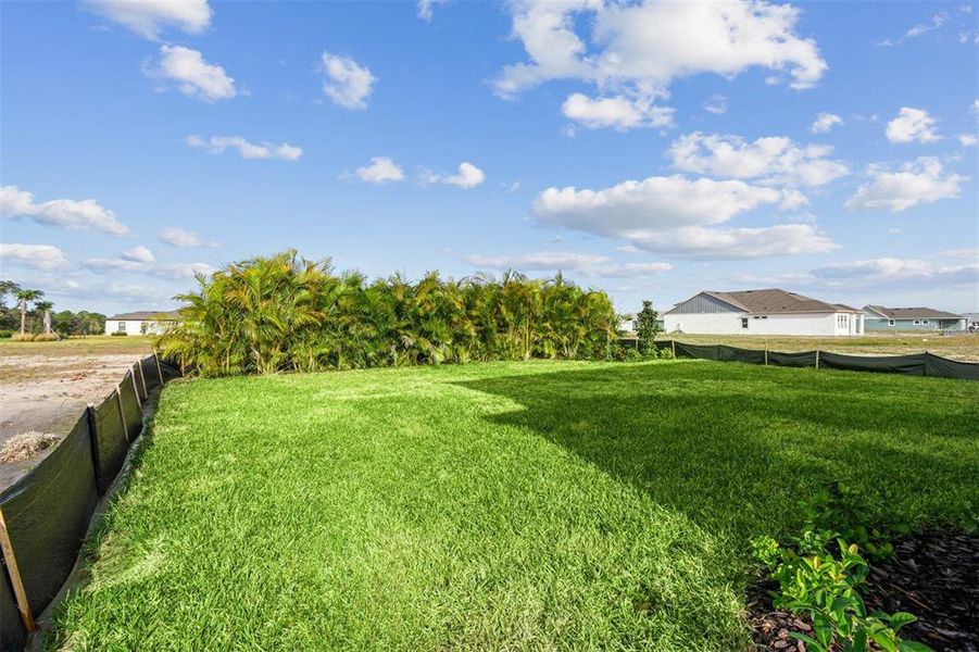Natural landscape and outdoor views near Waterset Tradition Series in Apollo Beach (Image 42).