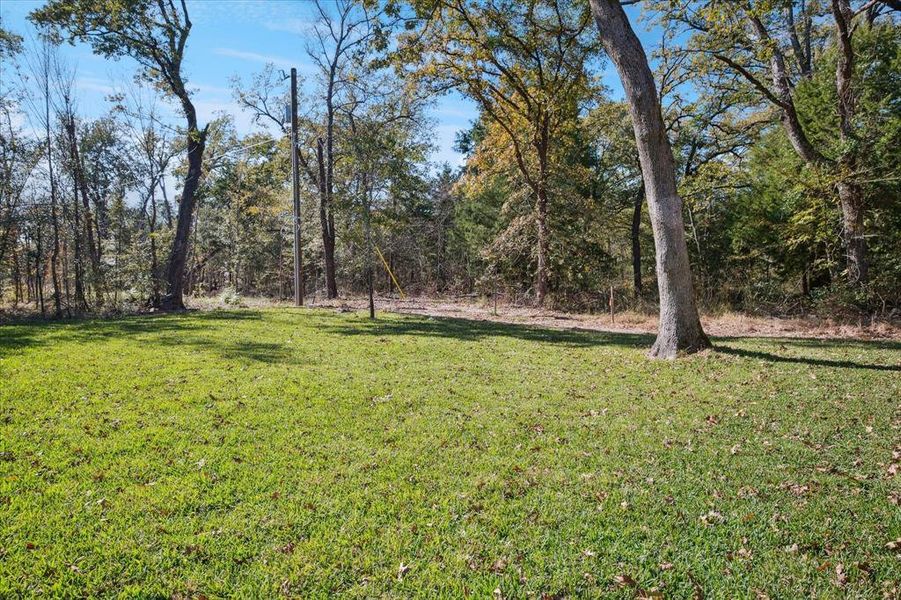 Natural landscape and outdoor views near  in Trinidad (Image 34).