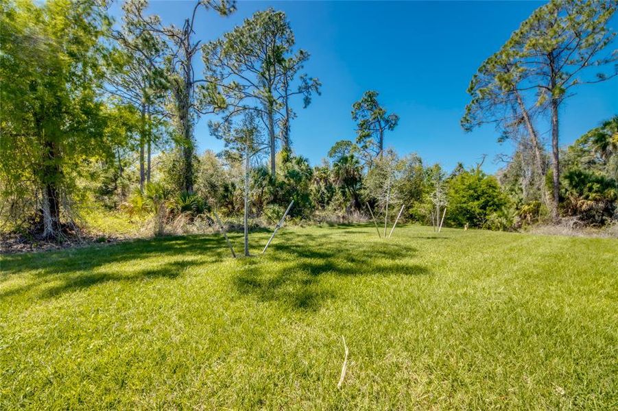 Natural landscape and outdoor views near in Port Charlotte (Image 32). Natural landscape and outdoor views near in Port Charlotte (Image 32).