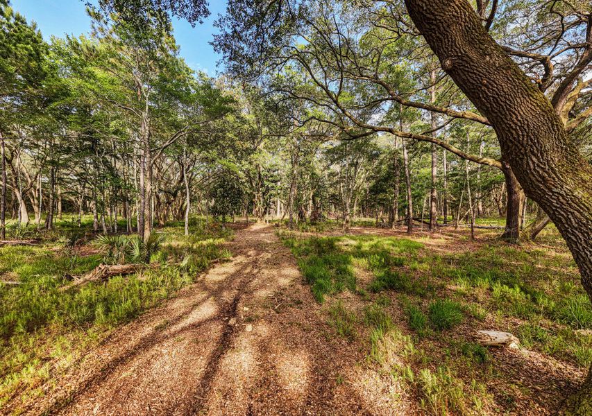 Natural landscape and outdoor views near  in Edisto Island (Image 25).
