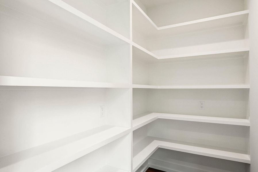 Huge pantry space.