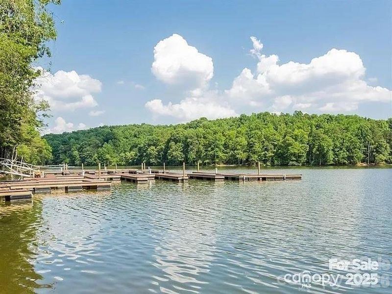 Natural landscape and outdoor views near  in Charlotte (Image 41).