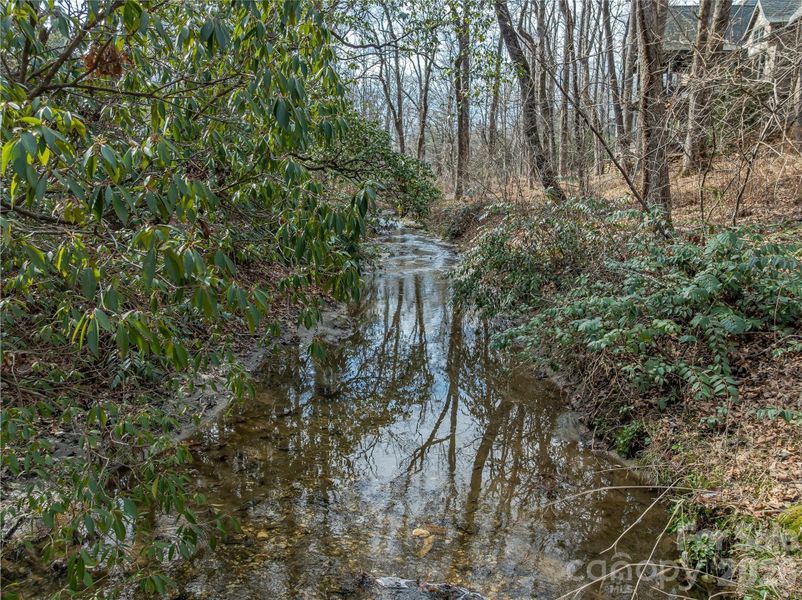 Natural landscape and outdoor views near  in Arden (Image 11).