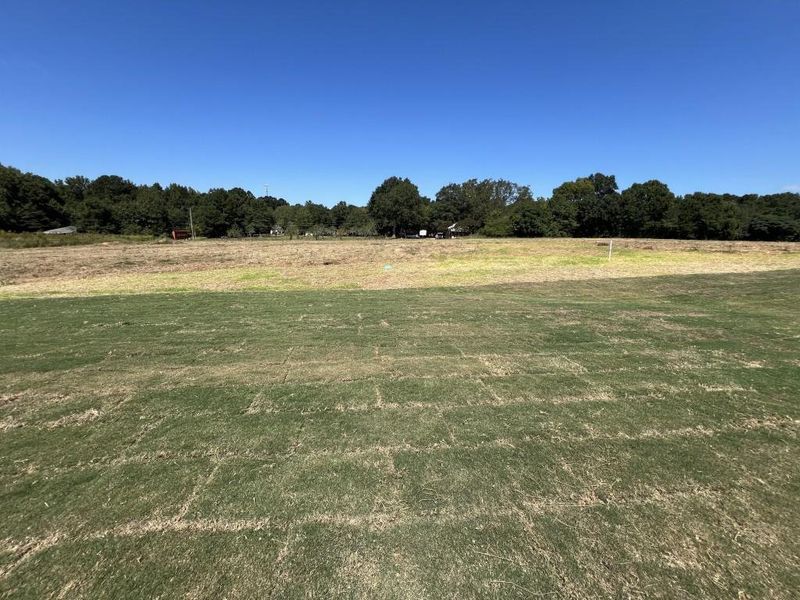Natural landscape and outdoor views near  in Good Hope (Image 32).