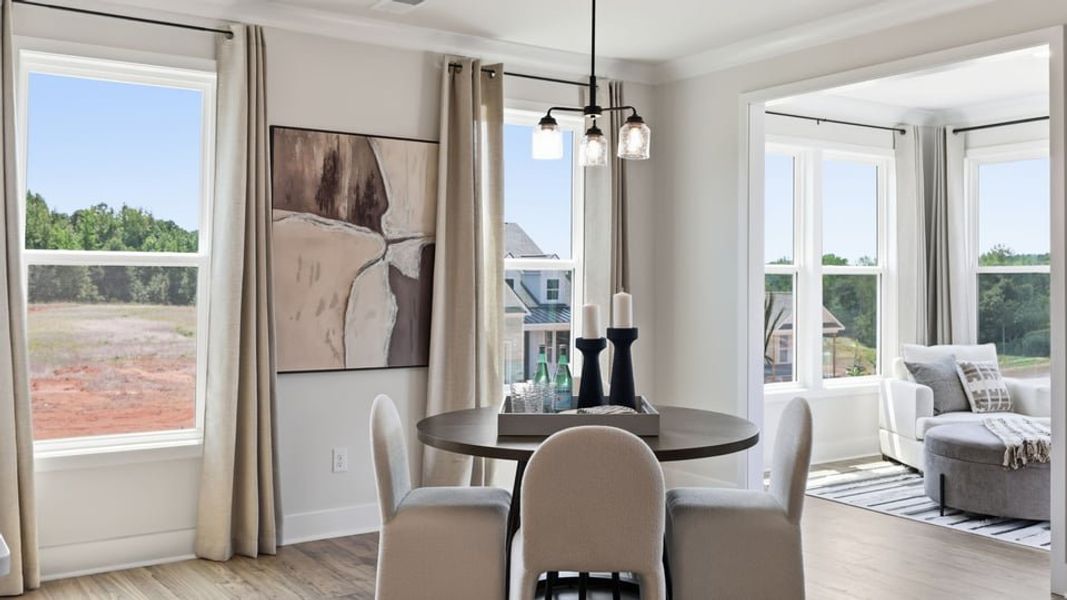 Furnished interior view inside a new home in Adams Glen, Greenville (Image 17).