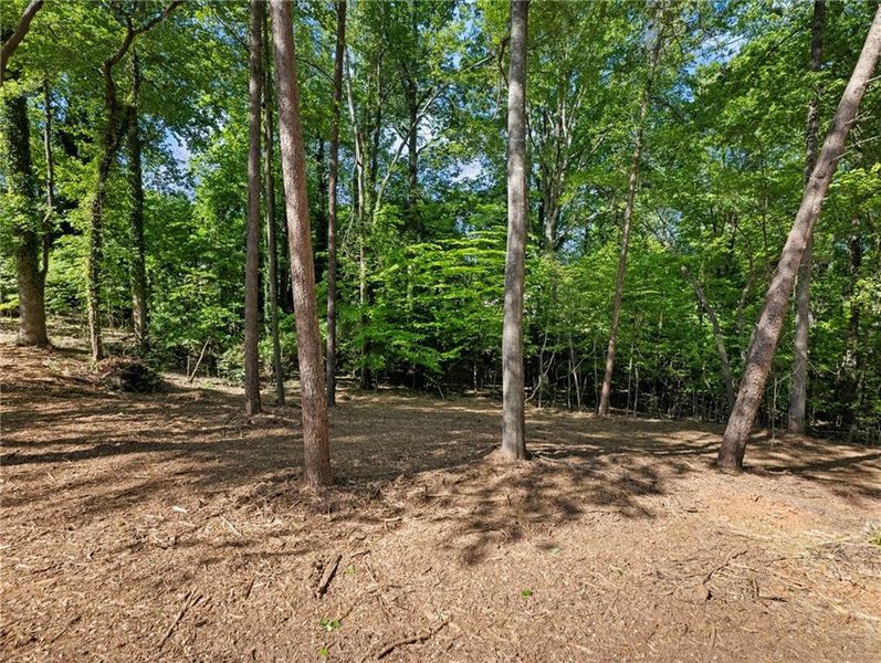 Natural landscape and outdoor views near  in Gainesville (Image 38).