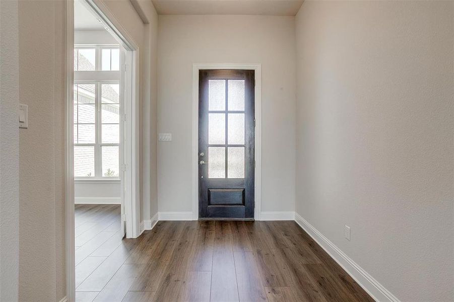 Entrance foyer with dark hardwood / wood-style flooring and a wealth of natural light