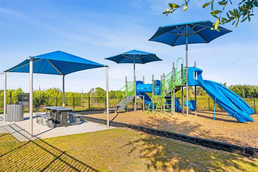 Community amenities in , Davenport (Image 32).