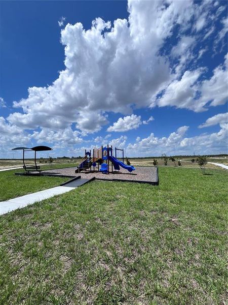 Community amenities in Citrus Place, Babson Park (Image 17).