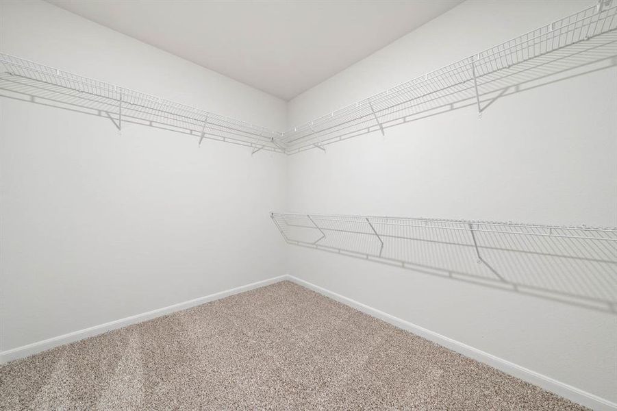 Spacious closet featuring carpet flooring