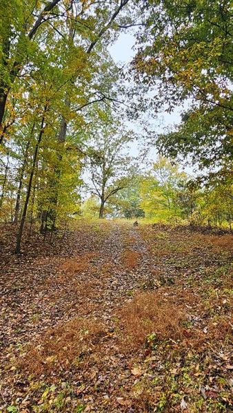 Natural landscape and outdoor views near in Dallas (Image 12). Natural landscape and outdoor views near in Dallas (Image 12).