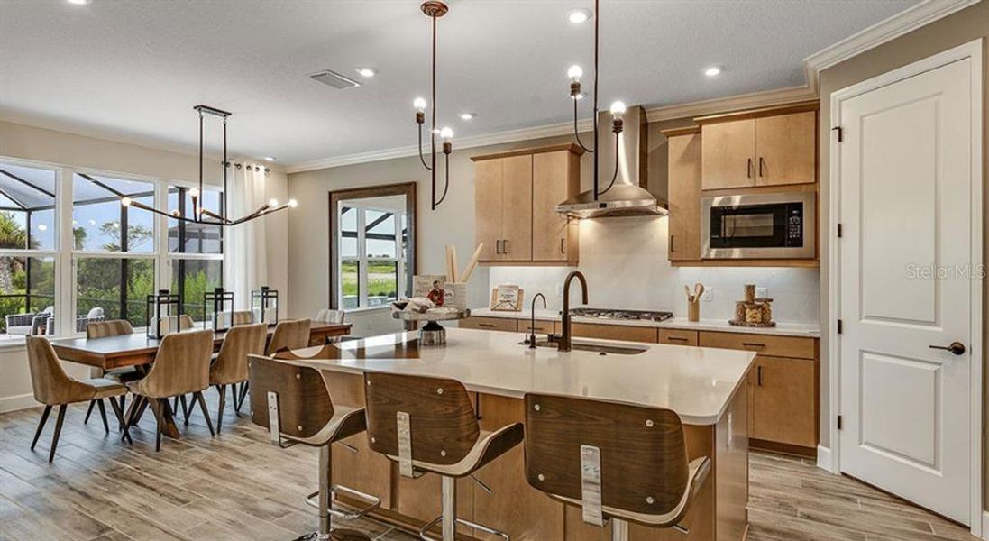 REPRESENTATIVE PHOTOS