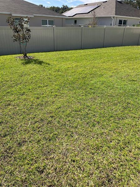 Exterior details and patio area of a home in Sunset Hills, Summerfield (Image 11).