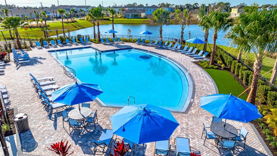 Community amenities in Indigo Creek, Apollo Beach (Image 80).