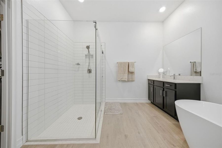 Furnished interior view inside a new home in , Land O' Lakes (Image 49).