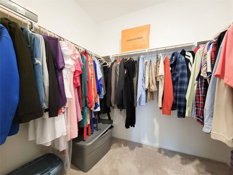 Spacious walk-in closet with ample hanging space, shelves, and room for storage bins, featuring carpeted flooring and bright lighting.