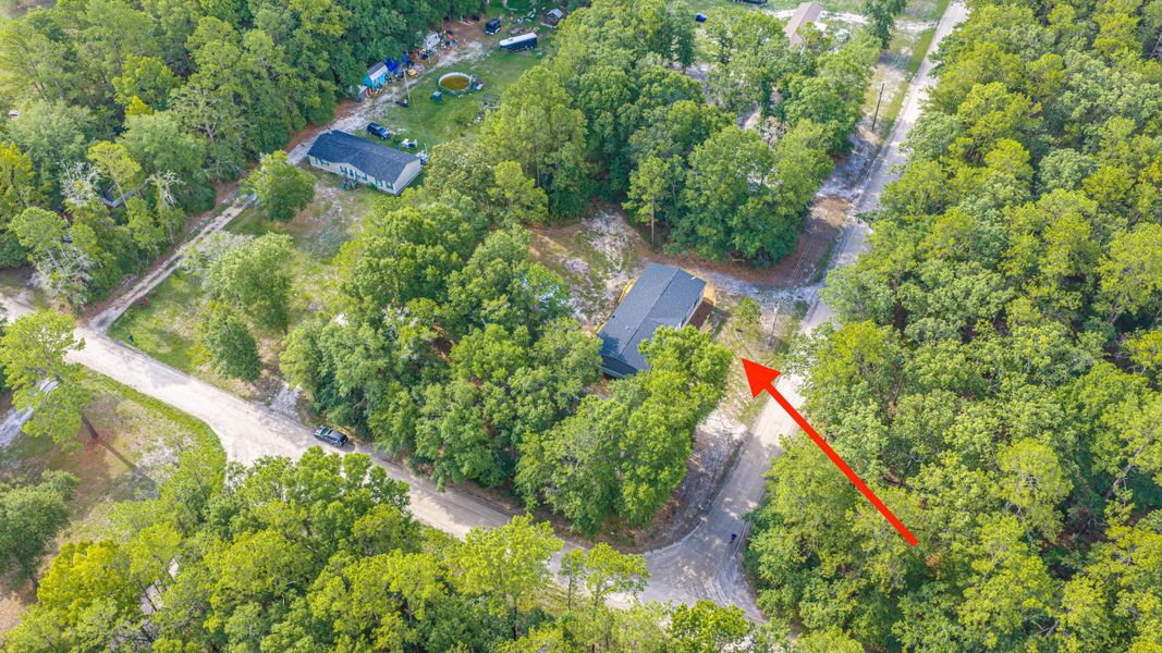 Natural landscape and outdoor views near  in Walterboro (Image 62).