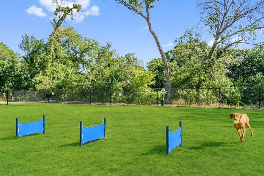 Image 12 of a home in Timberbrook.