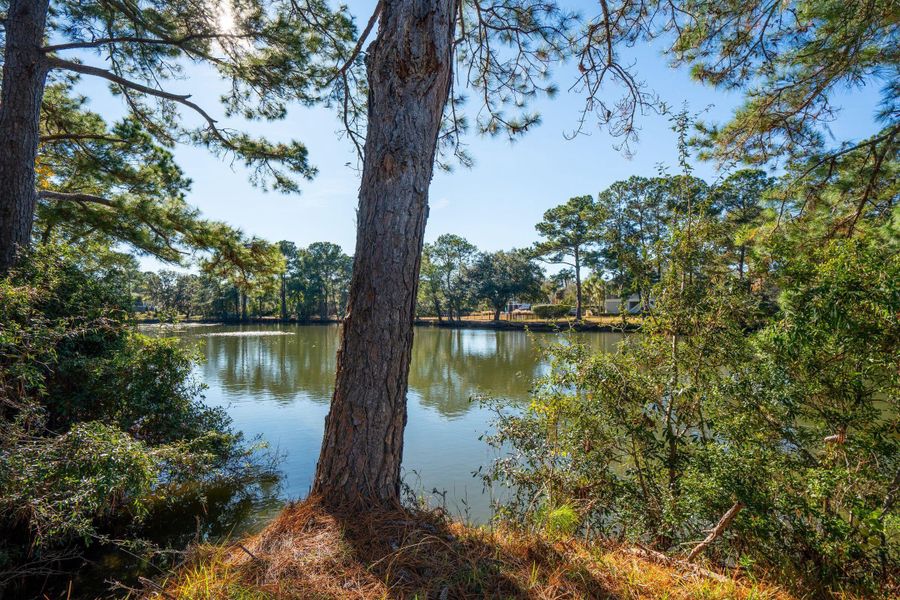 Natural landscape and outdoor views near  in Johns Island (Image 80).