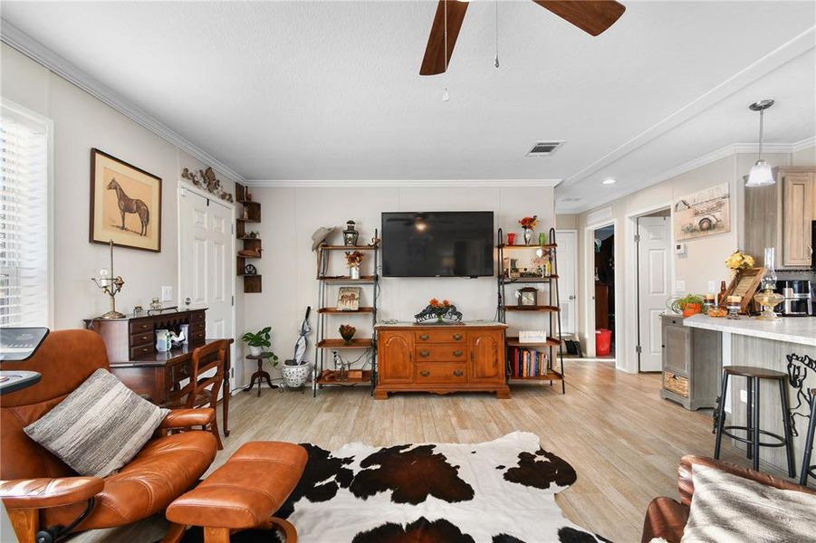 Furnished interior view inside a new home in , Ona (Image 16).