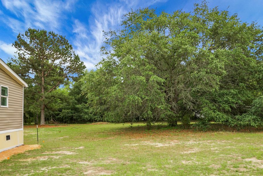 Natural landscape and outdoor views near  in Eutawville (Image 48).