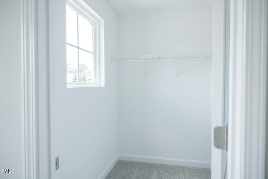 Spacious, unfurnished interior of a new home in Gregory Village, Lillington (Image 17).