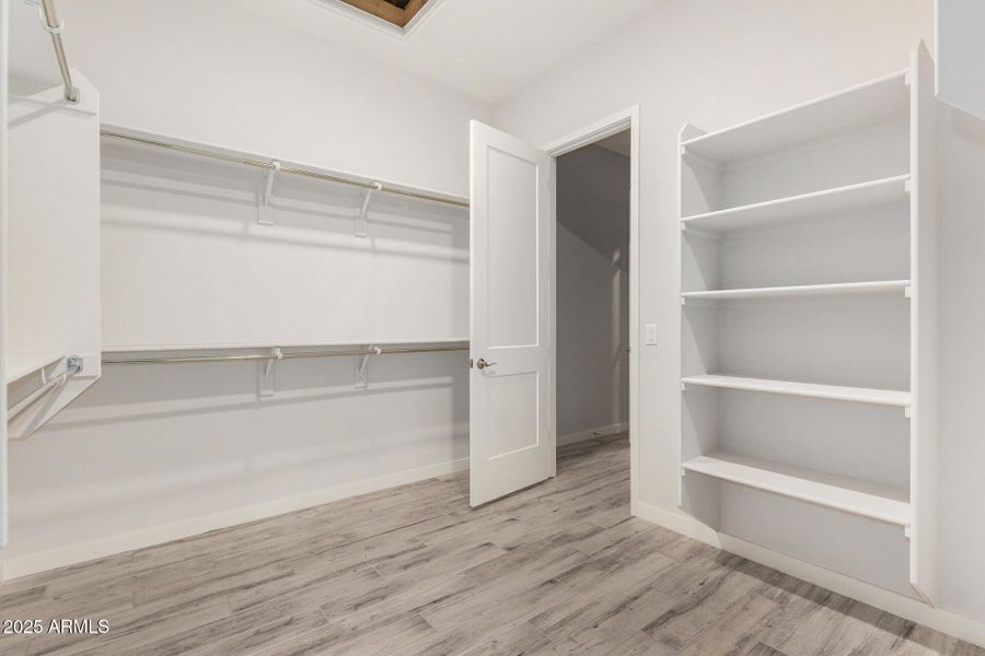 22 - Royal Palm 22 - Royal Palm