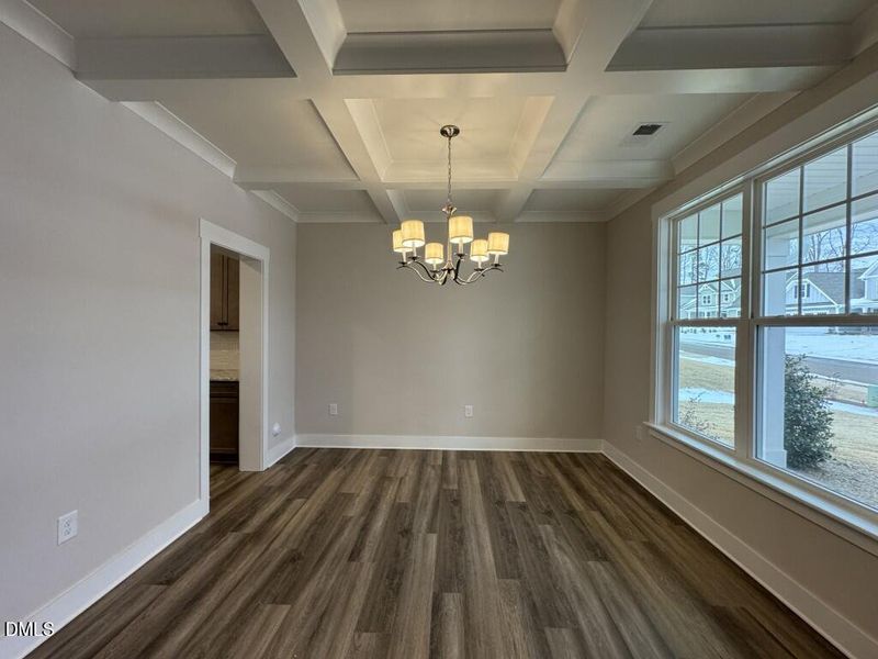 2026-02-08 15.28.50 (Medium)