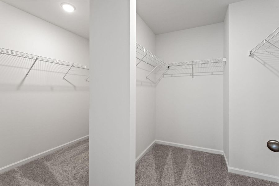 Spacious, unfurnished interior of a new home in Bellevue, Greenville (Image 28).