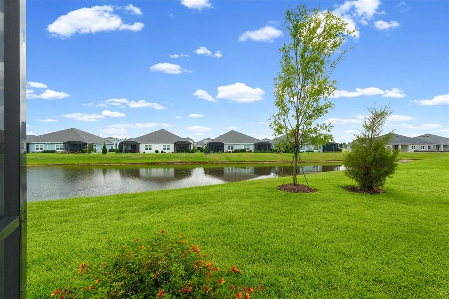 Natural landscape and outdoor views near Wildleaf at North River Ranch in Parrish (Image 57). Natural landscape and outdoor views near Wildleaf at North River Ranch in Parrish (Image 57).