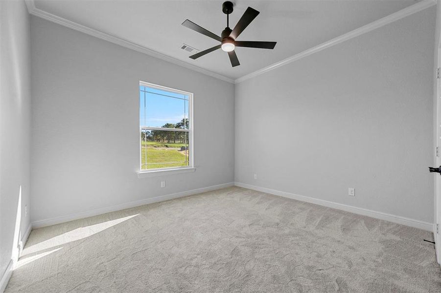 Spare room with light carpet, ceiling fan, and ornamental molding