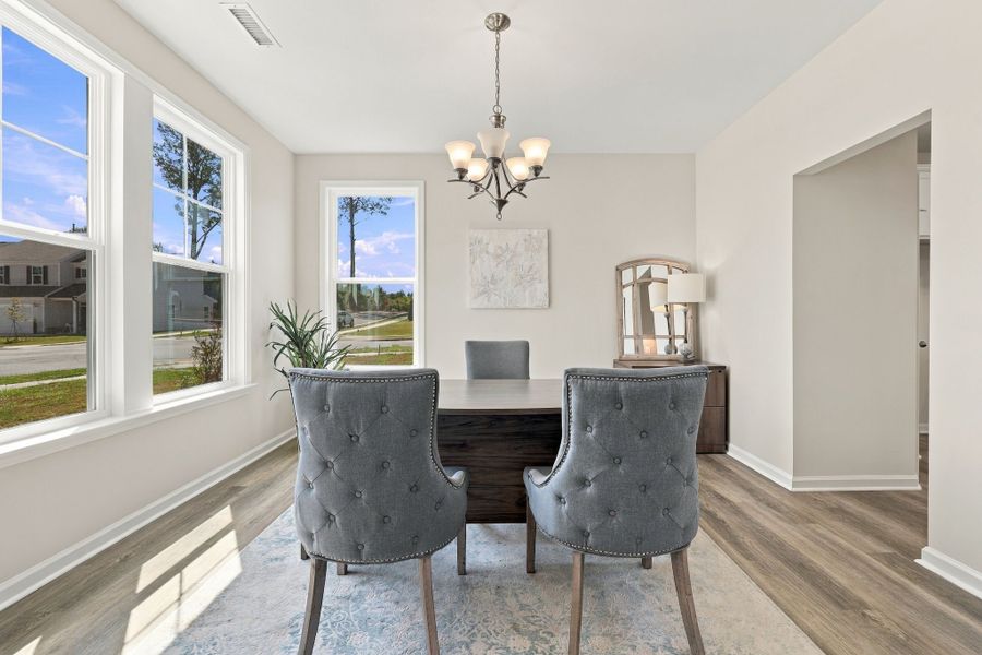 Furnished interior view inside a new home in Neill's Pointe, Angier (Image 18). Furnished interior view inside a new home in Neill's Pointe, Angier (Image 18).