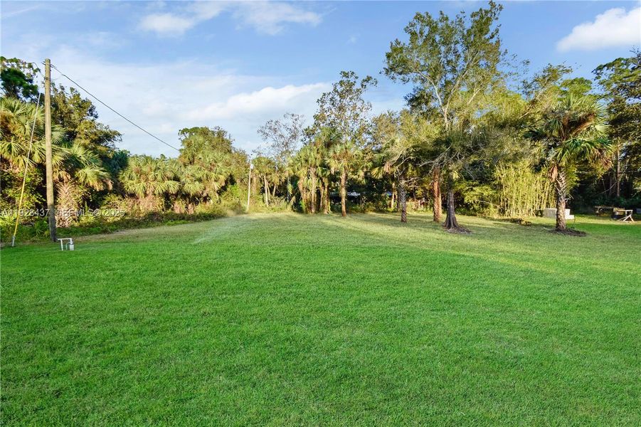 Natural landscape and outdoor views near in Lehigh Acres (Image 27). Natural landscape and outdoor views near in Lehigh Acres (Image 27).