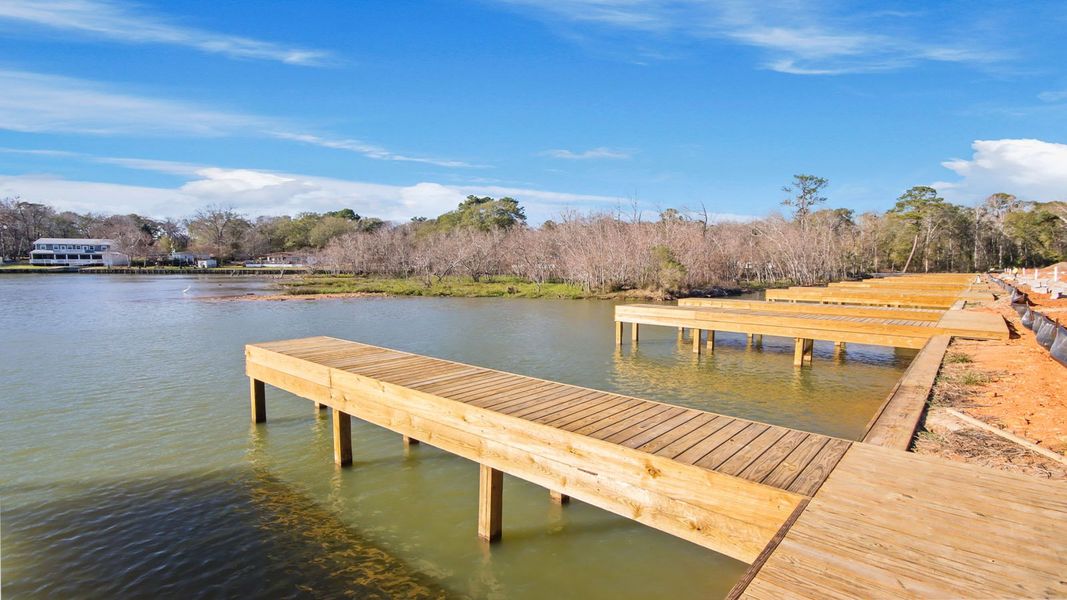Natural landscape and outdoor views near Lake Conroe Cove in Willis (Image 24).