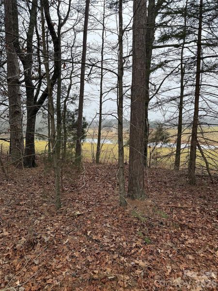 Natural landscape and outdoor views near  in Salisbury (Image 18).